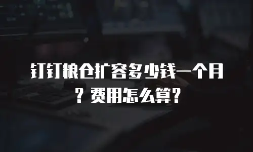 钉钉粮仓扩容多少钱一个月？费用怎么算？
