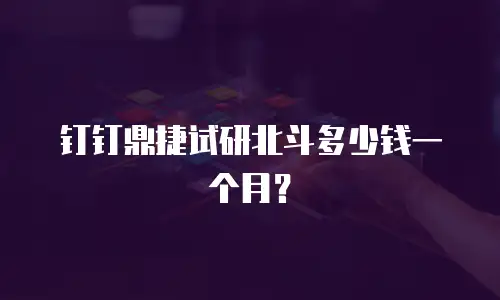 钉钉鼎捷试研北斗多少钱一个月？