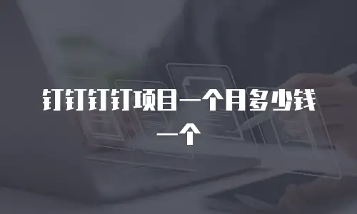 钉钉钉钉项目一个月多少钱一个