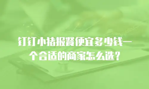 钉钉小猪报餐便宜多少钱一个合适的商家怎么选？