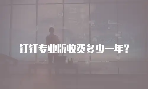 钉钉专业版收费多少一年？