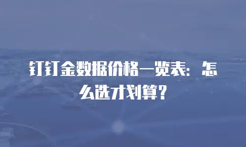 钉钉金数据价格一览表：怎么选才划算？