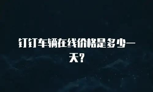 钉钉车辆在线价格是多少一天？