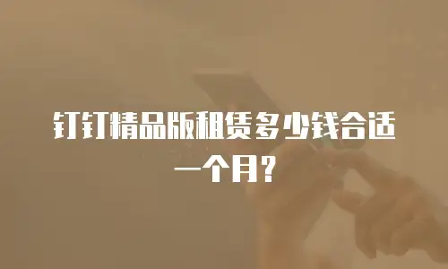 钉钉精品版租赁多少钱合适一个月？