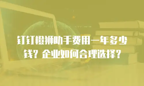 钉钉橙狮助手费用一年多少钱？企业如何合理选择？