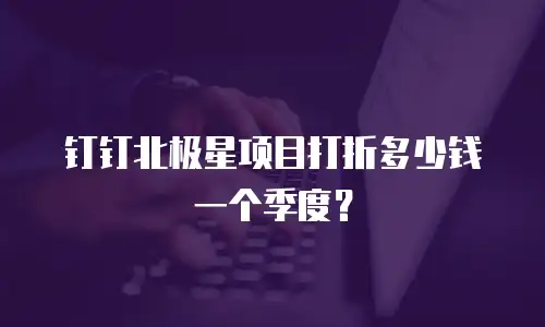 钉钉北极星项目打折多少钱一个季度？