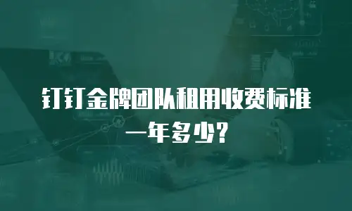 钉钉金牌团队租用收费标准一年多少？