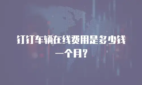 钉钉车辆在线费用是多少钱一个月？