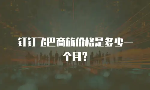 钉钉飞巴商旅价格是多少一个月？