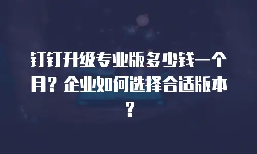 钉钉升级专业版多少钱一个月？企业如何选择合适版本？