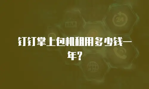 钉钉掌上包机租用多少钱一年？