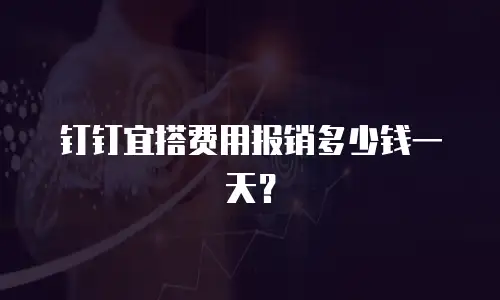 钉钉宜搭费用报销多少钱一天？
