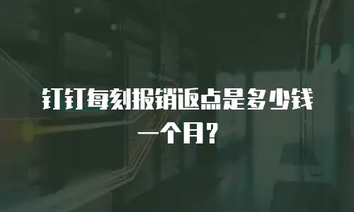 钉钉每刻报销返点是多少钱一个月？