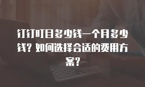 钉钉盯目多少钱一个月多少钱？如何选择合适的费用方案？