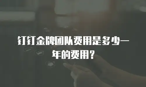 钉钉金牌团队费用是多少一年的费用？