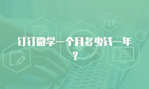 钉钉微学一个月多少钱一年？
