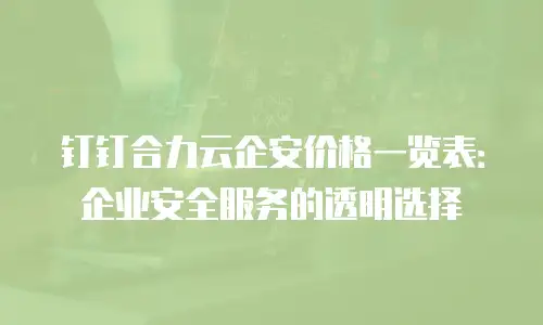 钉钉合力云企安价格一览表：企业安全服务的透明选择