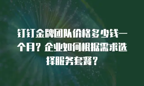 钉钉金牌团队价格多少钱一个月？企业如何根据需求选择服务套餐？
