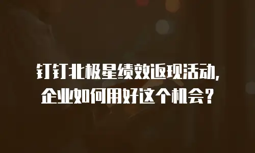 钉钉北极星绩效返现活动，企业如何用好这个机会？