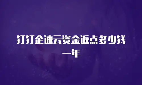 钉钉企速云资金返点多少钱一年