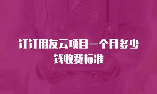 钉钉用友云项目一个月多少钱收费标准