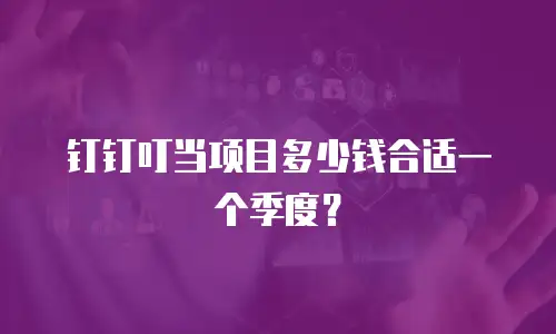 钉钉叮当项目多少钱合适一个季度？