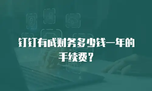 钉钉有成财务多少钱一年的手续费？