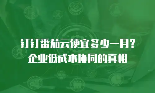 钉钉番茄云便宜多少一月？企业低成本协同的真相