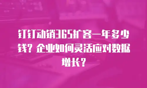 钉钉动销365扩容一年多少钱？企业如何灵活应对数据增长？