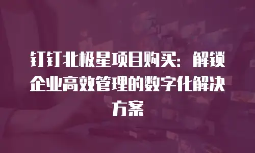 钉钉北极星项目购买：解锁企业高效管理的数字化解决方案