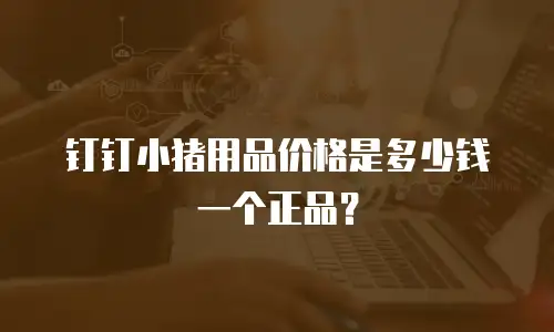 钉钉小猪用品价格是多少钱一个正品？