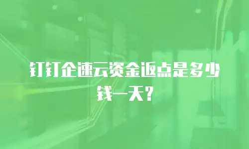 钉钉企速云资金返点是多少钱一天？