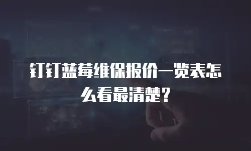 钉钉蓝莓维保报价一览表怎么看最清楚？