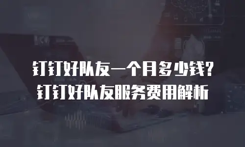 钉钉好队友一个月多少钱？钉钉好队友服务费用解析