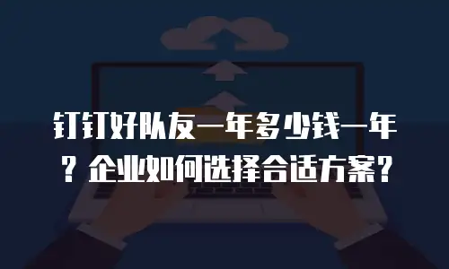 钉钉好队友一年多少钱一年？企业如何选择合适方案？