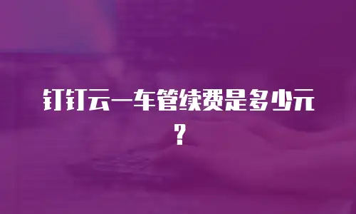 钉钉云一车管续费是多少元？