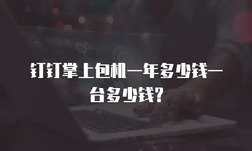 钉钉掌上包机一年多少钱一台多少钱？