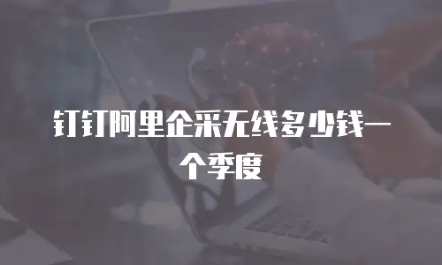 钉钉阿里企采无线多少钱一个季度