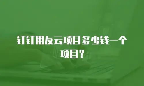钉钉用友云项目多少钱一个项目？