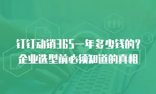 钉钉动销365一年多少钱的？企业选型前必须知道的真相