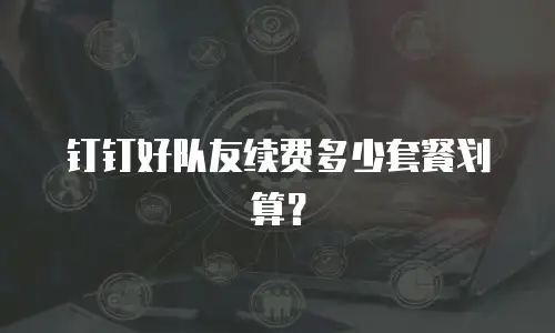 钉钉好队友续费多少套餐划算？