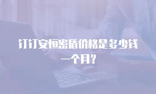 钉钉安恒密盾价格是多少钱一个月？