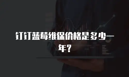 钉钉蓝莓维保价格是多少一年？