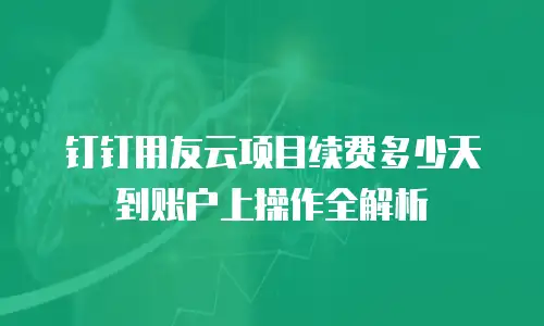 钉钉用友云项目续费多少天到账户上操作全解析