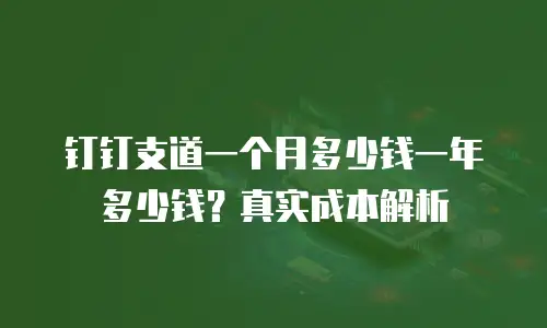 钉钉支道一个月多少钱一年多少钱？真实成本解析