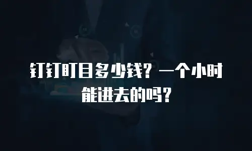 钉钉盯目多少钱？一个小时能进去的吗？