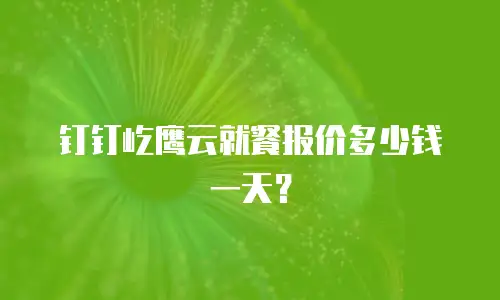 钉钉屹鹰云就餐报价多少钱一天？