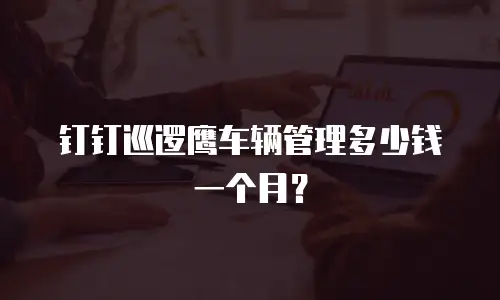 钉钉巡逻鹰车辆管理多少钱一个月？