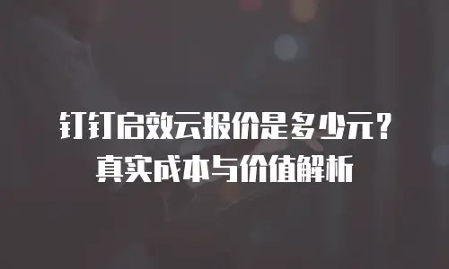 钉钉启效云报价是多少元？真实成本与价值解析