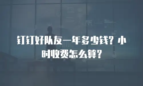 钉钉好队友一年多少钱？小时收费怎么算？